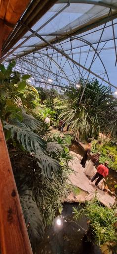 عکس نمایشگاه گل و گیاه ولیعصر