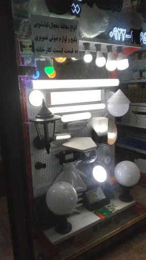 عکس الکتریکی شاهین