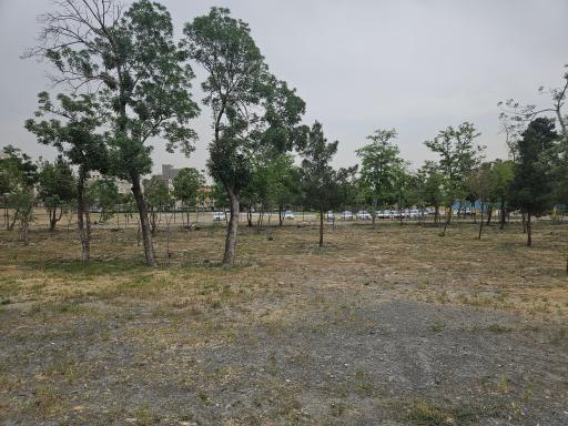 عکس پارکینگ پارک جهان شهر (معاونت اجرایی امور مساجد)