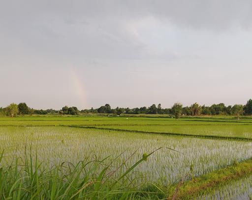 عکس زیبا کنار