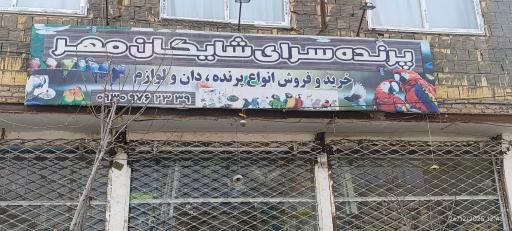عکس پرنده سرای شایگان مهر