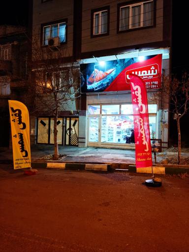 عکس کفش شمس