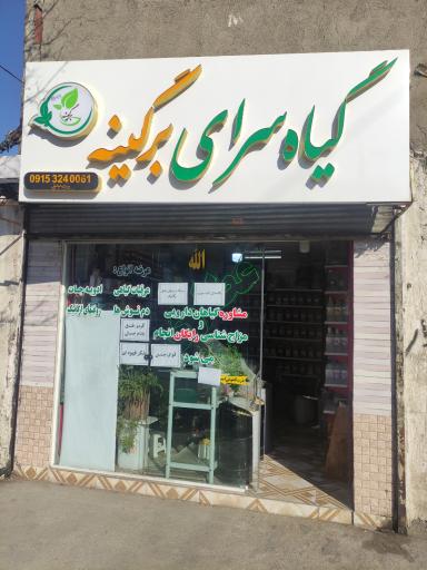 عکس گیاه سرای برگینه (طبیب بانوان)