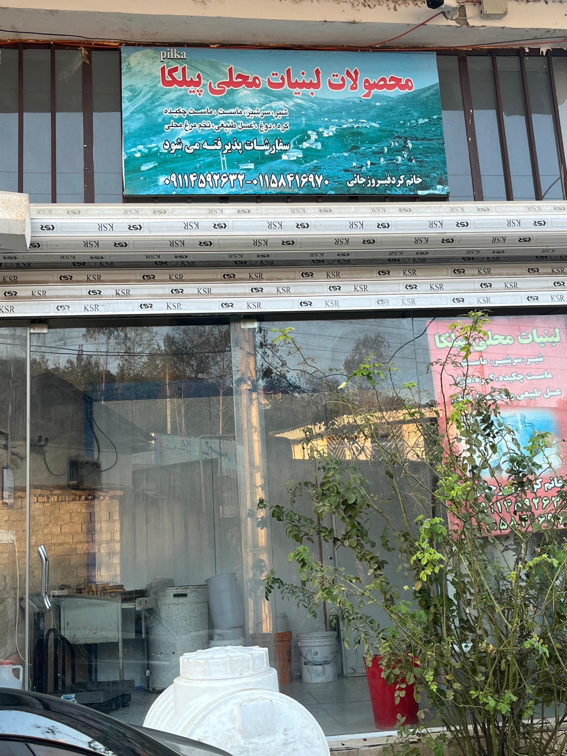 عکس لبنیات محلی پیلکا