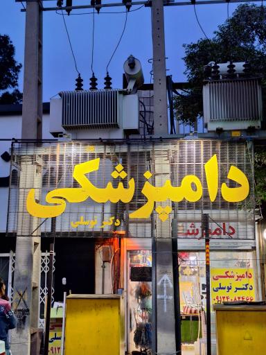 عکس دامپزشکی دکتر توسلی