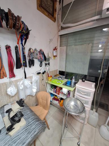 عکس دامپزشکی دکتر توسلی