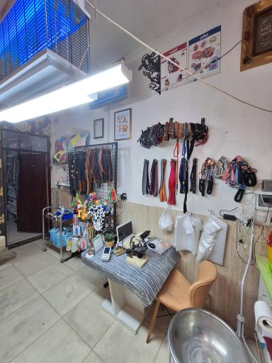 عکس دامپزشکی دکتر توسلی