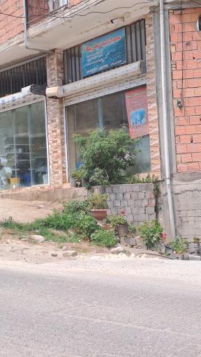 عکس لبنیات محلی پیلکا