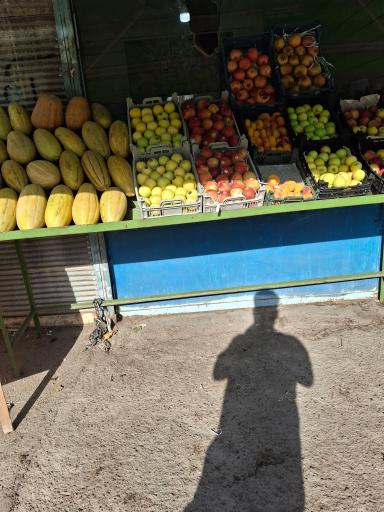 عکس میوه فروشی برادران پرماک