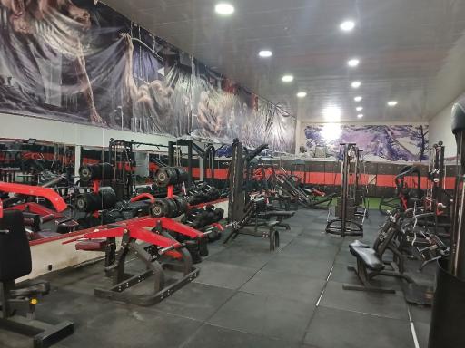 عکس باشگاه بدنسازی پلاتین