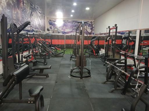 عکس باشگاه بدنسازی پلاتین