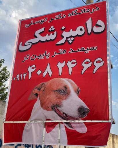 عکس دامپزشکی دکتر توسلی