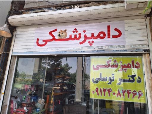 عکس دامپزشکی دکتر توسلی