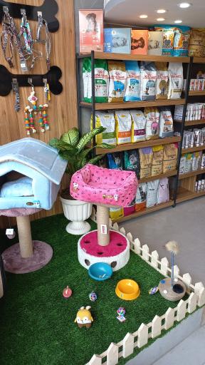 عکس پت شاپ دنیای حیوانات