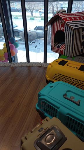 عکس پت شاپ دنیای حیوانات