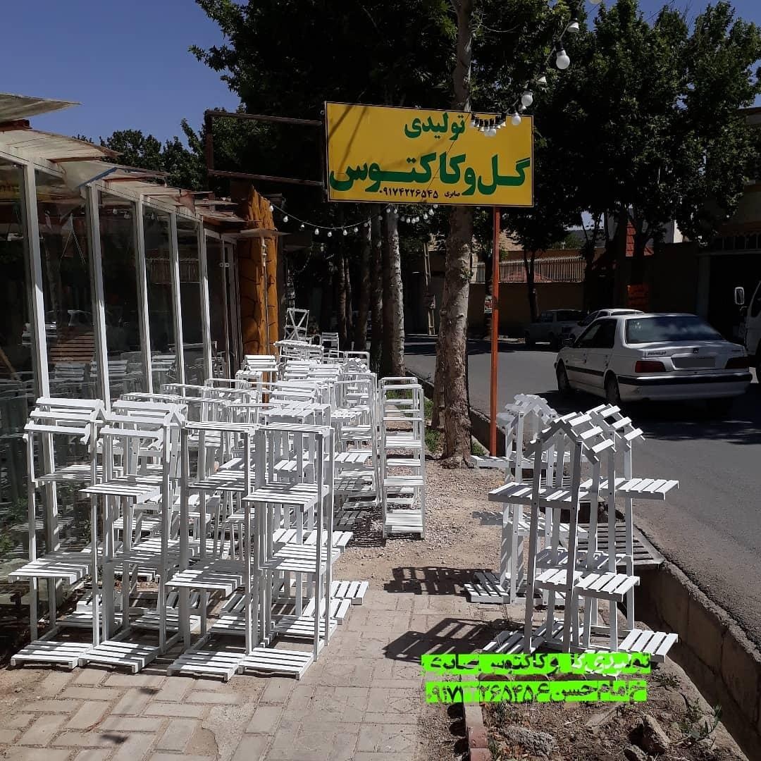 عکس گلفروشی کاکتوس