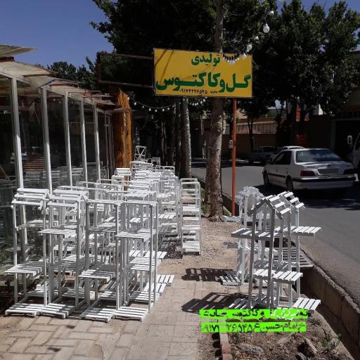 گلفروشی کاکتوس