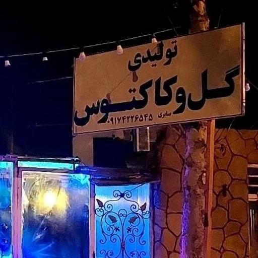 عکس گلفروشی کاکتوس