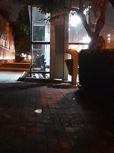 عکس  پیروزی 26