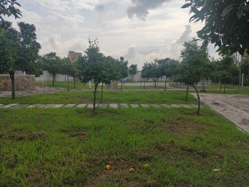 عکس پارک بهار نارنج