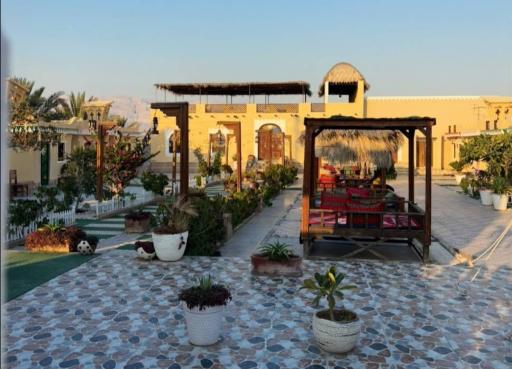 عکس رستوران سنیار