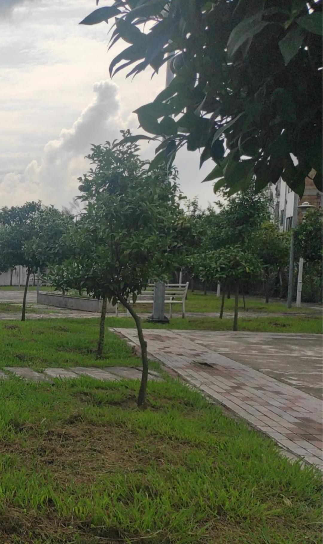 عکس پارک بهار نارنج