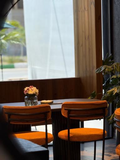 عکس کافه مران