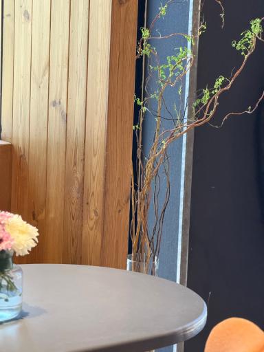 عکس کافه مران