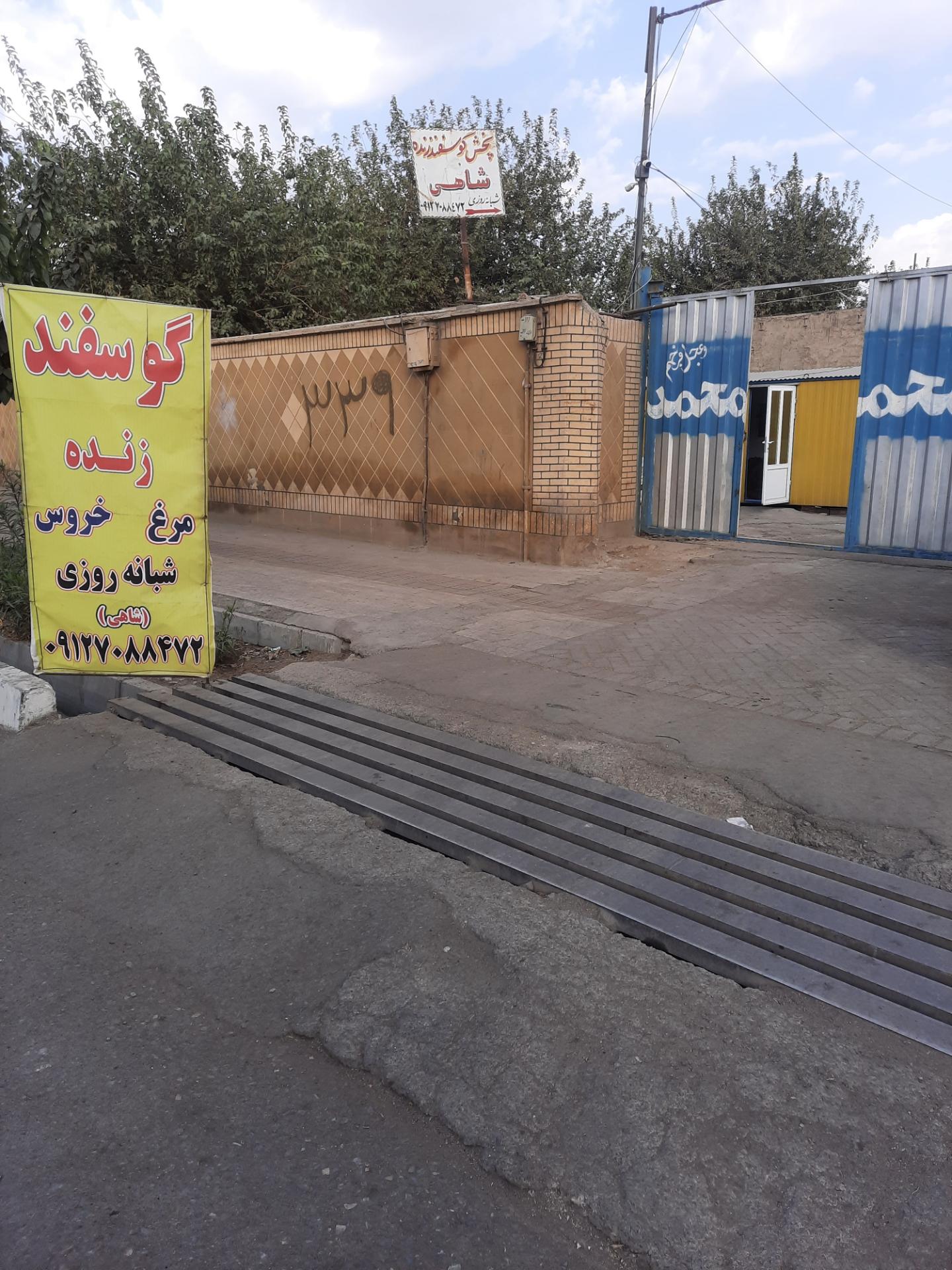 عکس عرضه دام زنده بهداشتی شاهی