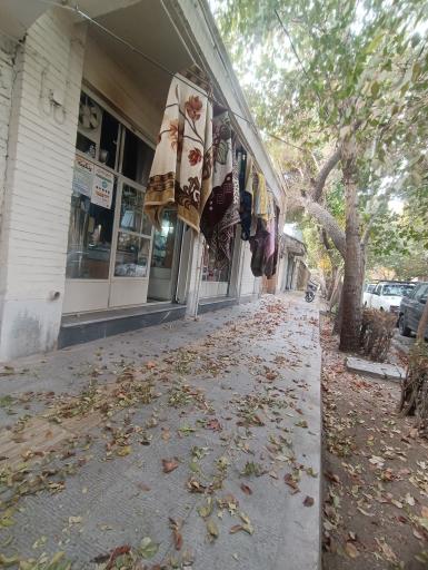 عکس خشکشویی نصر