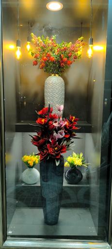 عکس تشریفات ونوس