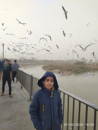 عکس پل طبیعت