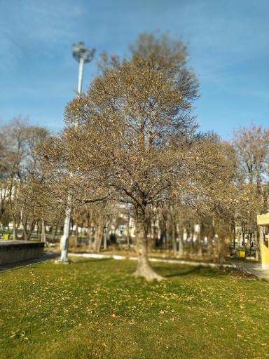 بوستان دانشجو