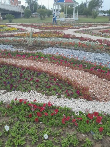 عکس پل طبیعت