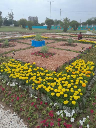 عکس پل طبیعت