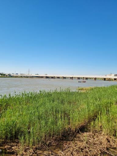 عکس پل طبیعت