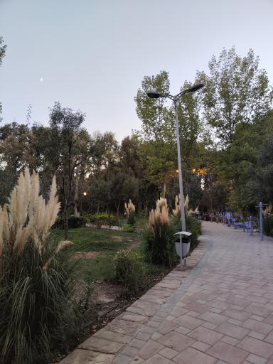 عکس بوستان کسری