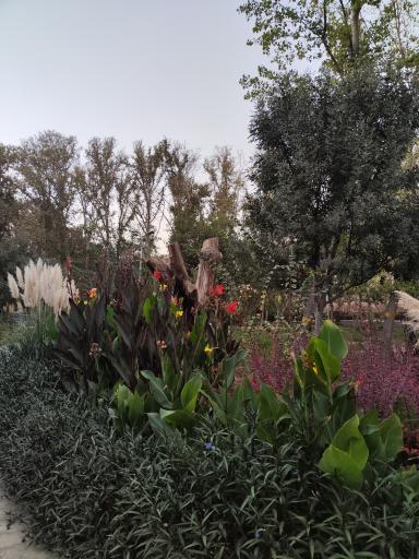 عکس بوستان کسری