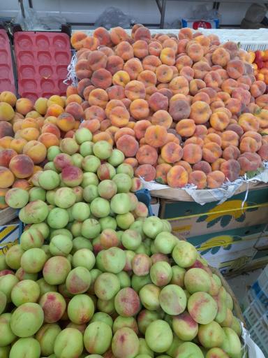 عکس میوه فروشی ریحان 