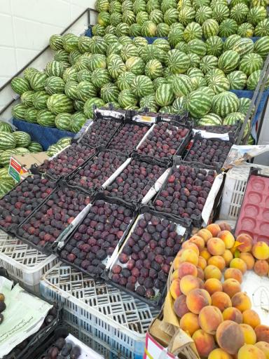 عکس میوه فروشی ریحان 