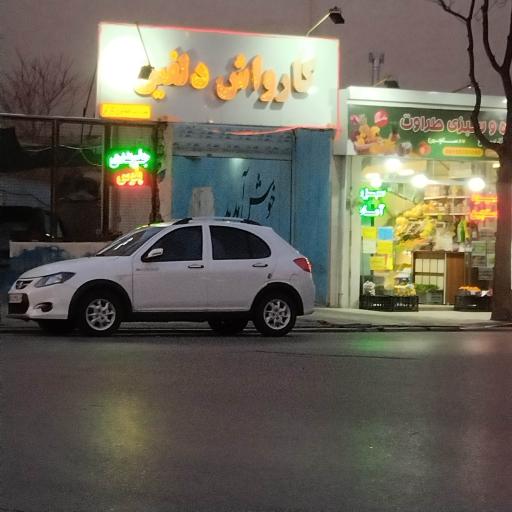 عکس کارواش دلفین