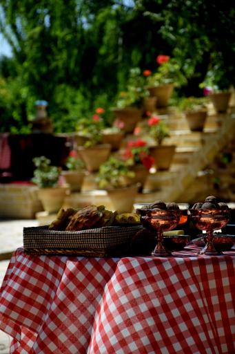 عکس اقامتگاه ایلخانی امیر