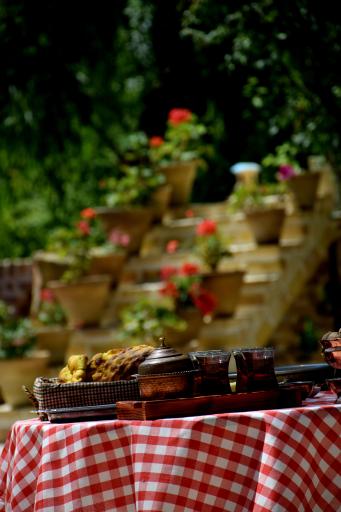 عکس اقامتگاه ایلخانی امیر