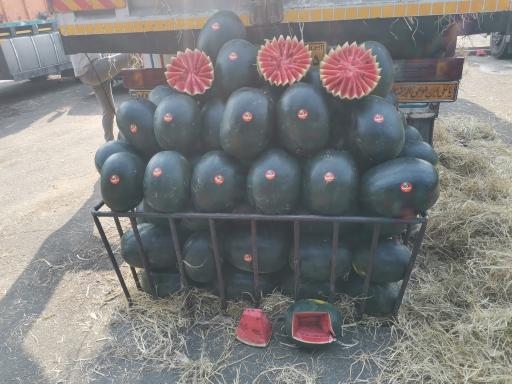 عکس حق العمل کاری حسنی