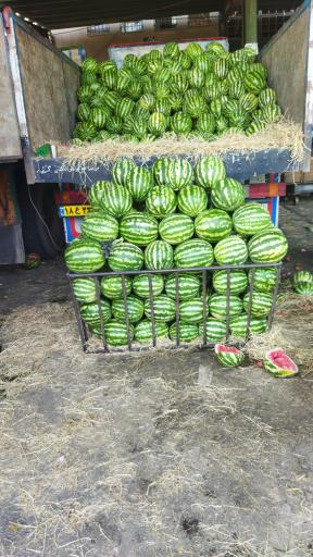 عکس حق العمل کاری حسنی