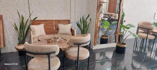 عکس کافه نادری