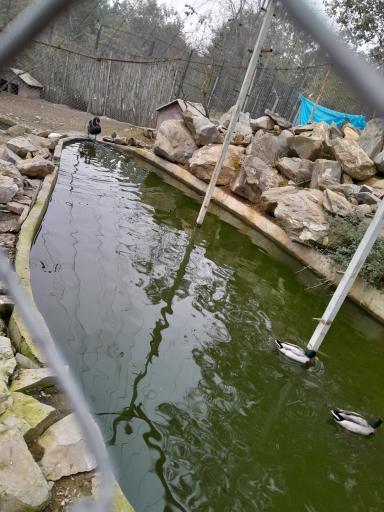 عکس دریاچه الیمالات