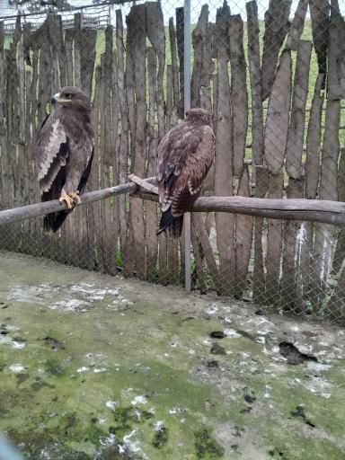 عکس دریاچه الیمالات