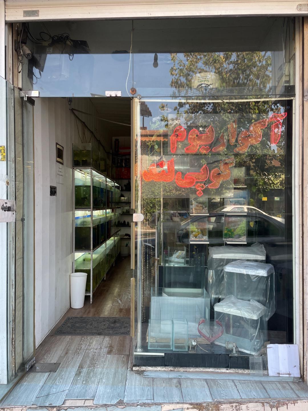 عکس آکواریوم گوپی لند شعبه مرکزی