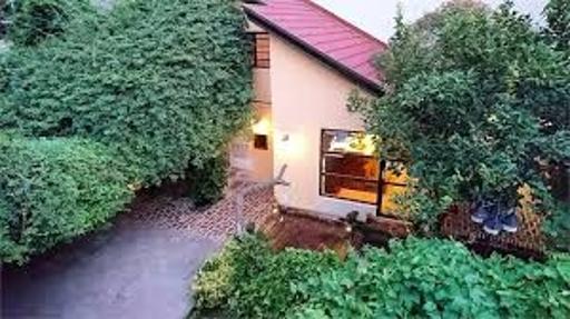 عکس کافه رومی